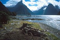 Ozeanien Neuseeland Fjordland