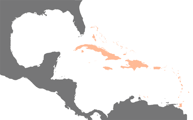 Die Karibischen Inseln - Quelle: http://commons.wikimedia.org/wiki/File:Karte_Karibik_Inseln.png