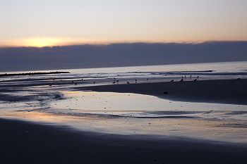 Morgenstimmung an der dänischen Nordsee