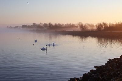 Morgennebel, Makkum, Holland