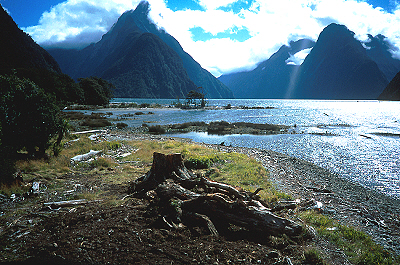 Milford Sound