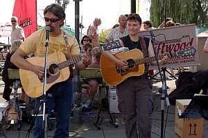 Driftwood - Bluegrass Driftwood