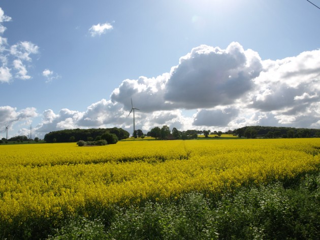 Kalksbeckerweg_-_Himmel_ueber_dem_Muensterland