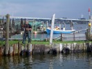 Schleswig_Fischer