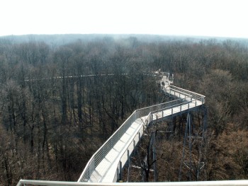 Baumkronenpfad_Hainich_Bad_Langensalza