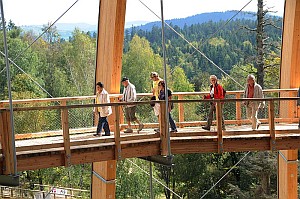 Baumwipfelpfad_im_Nationalpark_Bayerischer_Wald_-_Baum-Ei_-_rundgang-nah