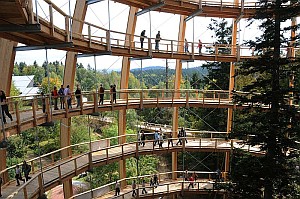 Baumwipfelpfad_im_Nationalpark_Bayerischer_Wald_-_Baum-Ei_-_rundgang