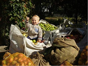 Buchenberg_-_Apfel