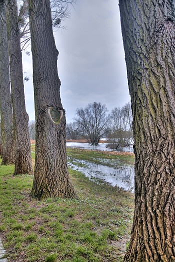 Flusslandschaft_Elbe