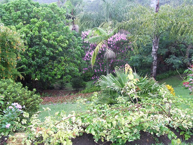 Gardens_below_Ilanga_Ntaba