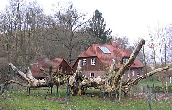 Hof_bei_Hitzacker