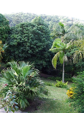 KwaZulu_Kueste