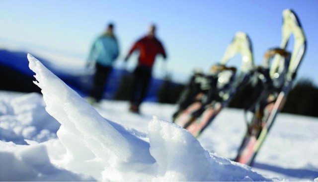 Schneeschuhwandern_im_Schwarzwald