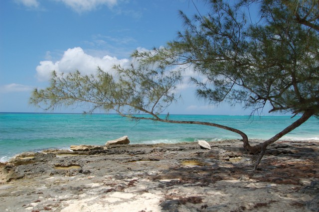 Bahamas