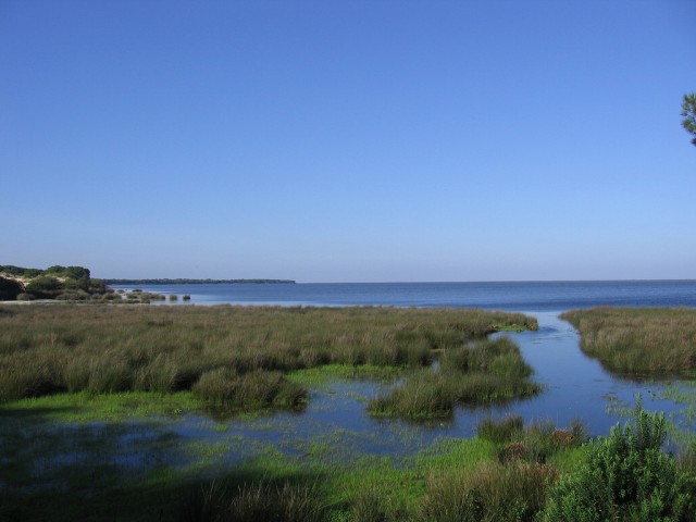 La_Marisma_de_Donana