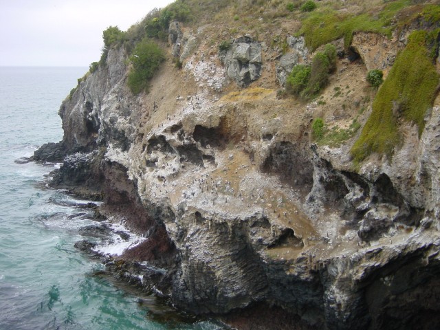 Neuseeland