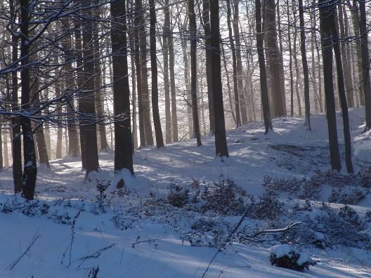 Advent_im_Nationalpark_Kellerwald_Edersee