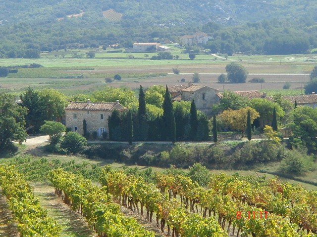 La_Coquillade_-_Aureto_Weinberg