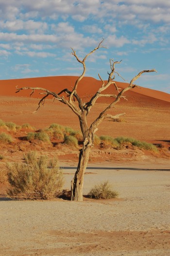 Sossusvlei_Namibia