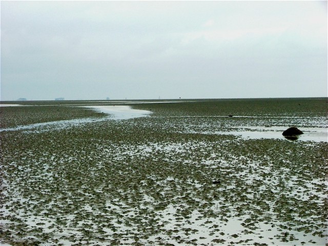 Wattenmeer_Foehr