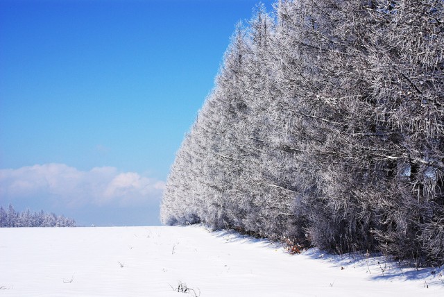 Winter_in_Hokkaido