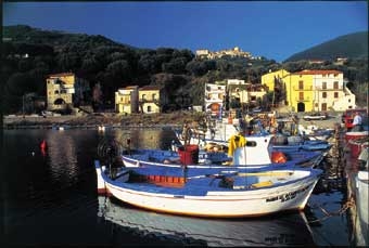 boote