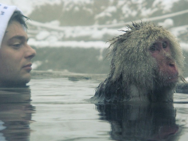 onsen_with_monkey