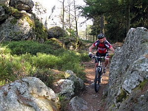 Bike_Am_Pfahl