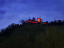 Mandelbluete_in_der_Pfalz_02