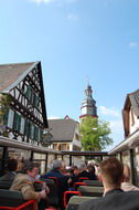 Mandelbluete_in_der_Pfalz_03