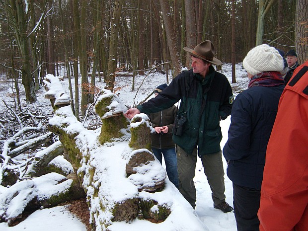 Ranger_fuehren_in_den_Winterwald_des_Mueritz-Nationalparks