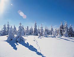 Wintersport_im_Schneeparadies_02