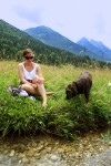 Am_suedlichen_Ufer_des_Walchsees_finden_sich_auch_ruhige_Plaetzchen