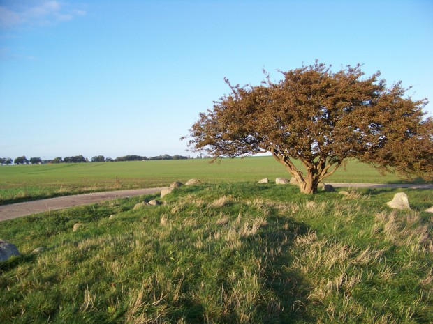 Grosssteingrab_Riesenberg