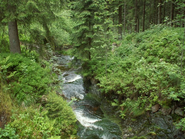 Harzer_Hexen_Stieg_Grosse_Oker