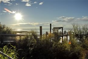Naturschutzgebiet_direkt_an_der_Lagune_-_Lignano_Sabbiadoro_Adria