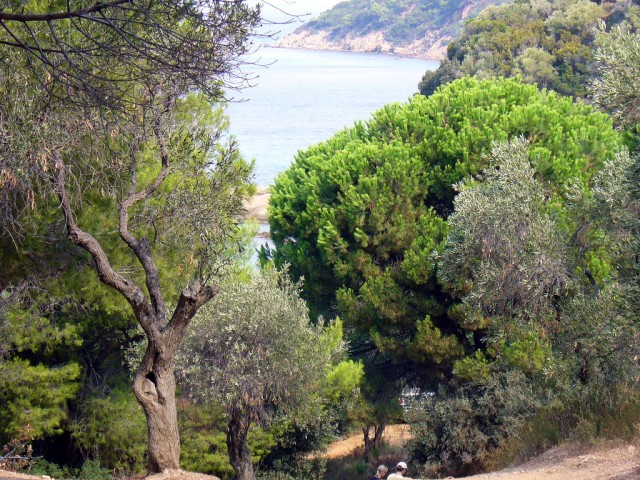 Skiathos_Island_Banana_Beach