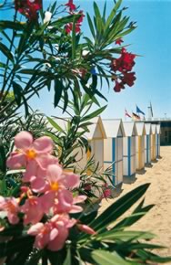Strand_Sabbiadoro_-_Lignano_Sabbiadoro_Adria