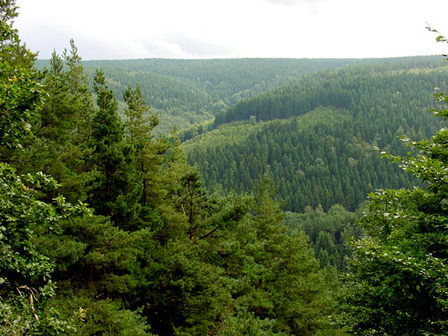 Huertgenwald