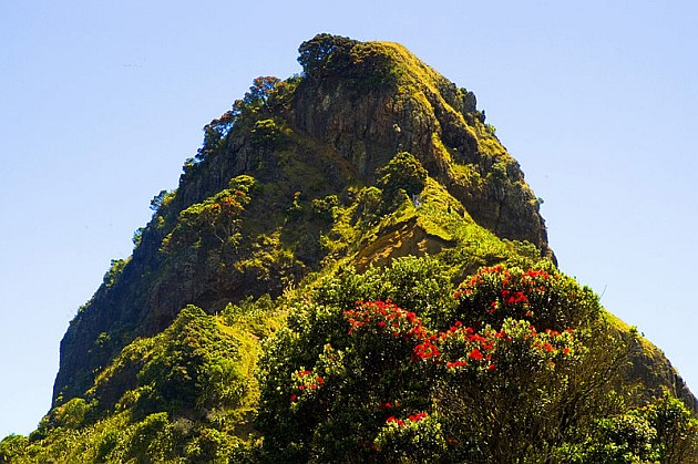 Lion_Rock_at_Piha