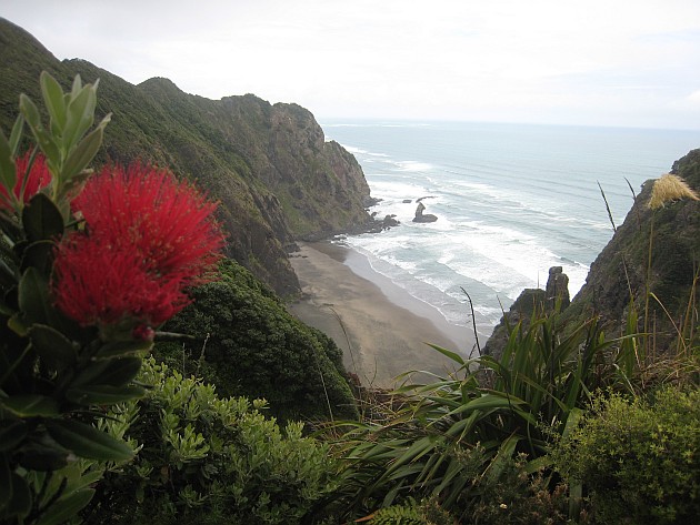 Mercer_Bay_on_Aucklands_west_coast_viewed_from_the_Hillary_Trail