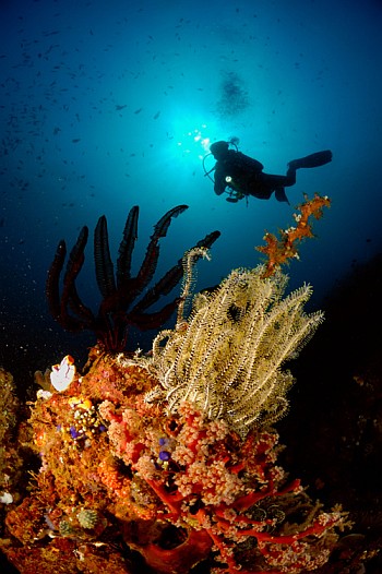 Werner-Lau_Diving_Center_auf_Bali