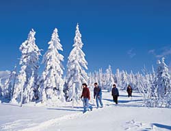 Winter_in_Mitterfirmiansreut_in_Bayern