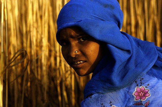 Bienewald_Indien_3