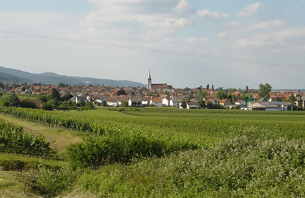 Maikammer - südliche Weinstraße