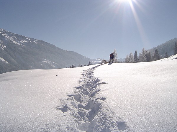 Tourengehen in der Wildschönau