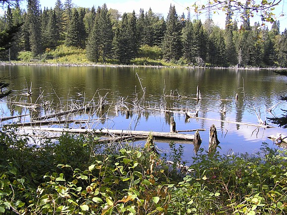 Riding_Mountain_National_Park_in_Manitoba