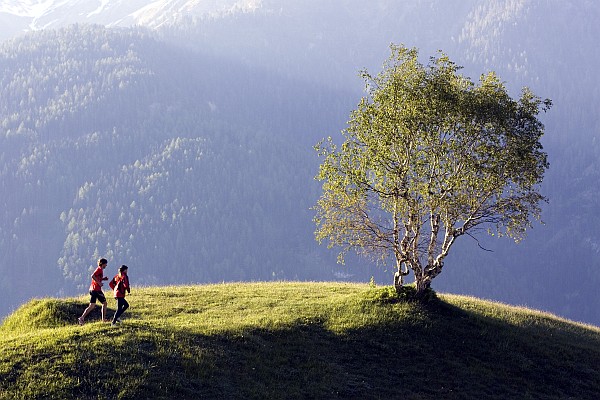 Serfaus-Fiss-Ladis Tirol Landschaft