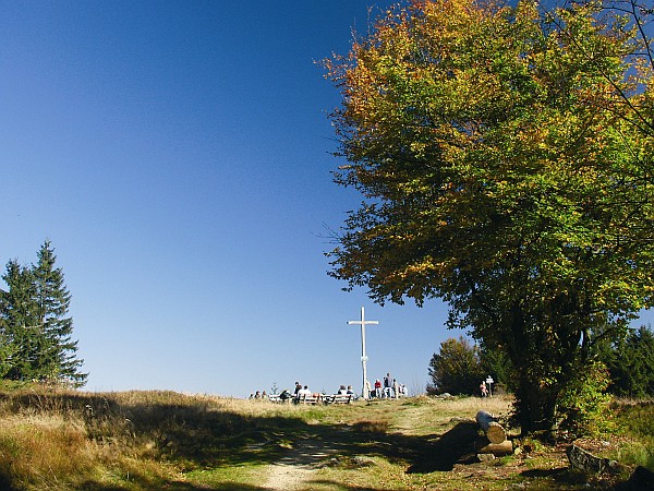 Wandern auf dem Goldsteig von Sankt Englmar aus