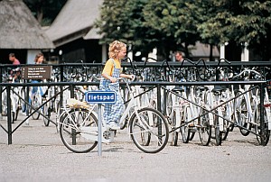 Hoge_Veluwe